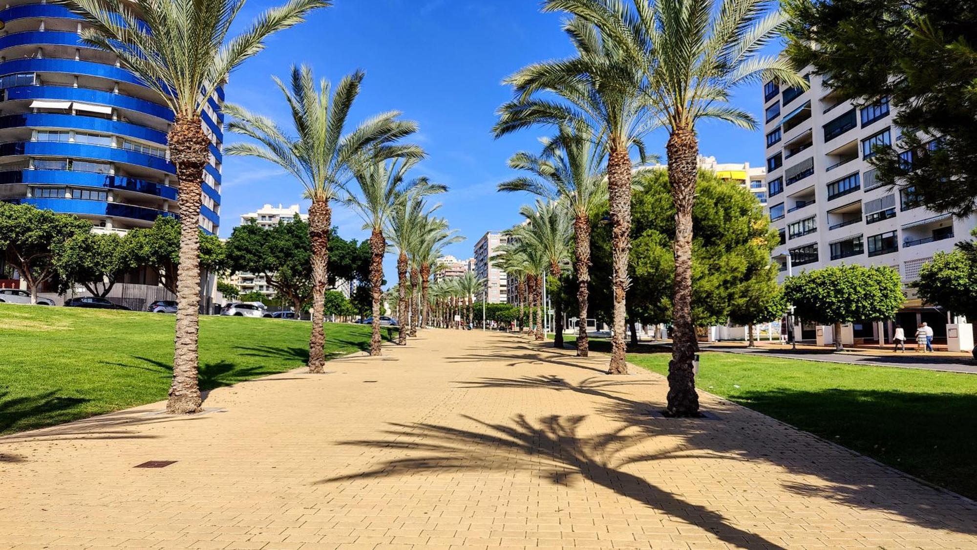 Cala Alta Relax Apartment Benidorm Exteriér fotografie